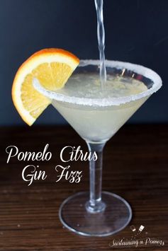 Pomelo Citrus Gin Fizz