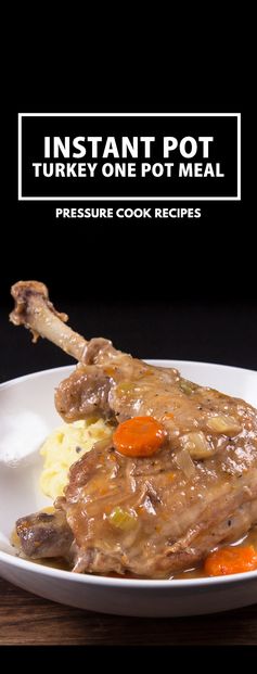 Pressure Cooker Turkey One Pot Meal