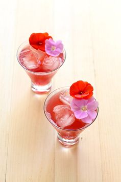 Prickly Pear and Ginger Beer Cocktail