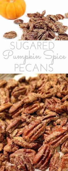 Pumpkin Spice Sugared Pecans