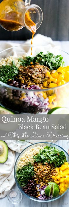 Quinoa Mango Black Bean Salad with Spiced Pepitas and Chipotle Lime Dressing