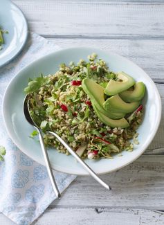 Rice bowl with ginger, radish and avocado