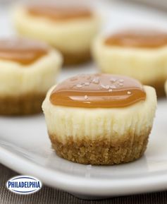 Salted Caramel Cheesecake Minis