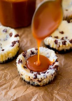 Salted Caramel Chocolate Chip Cheesecakes