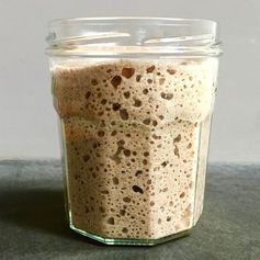 Sam Fromartz' Sourdough Starter