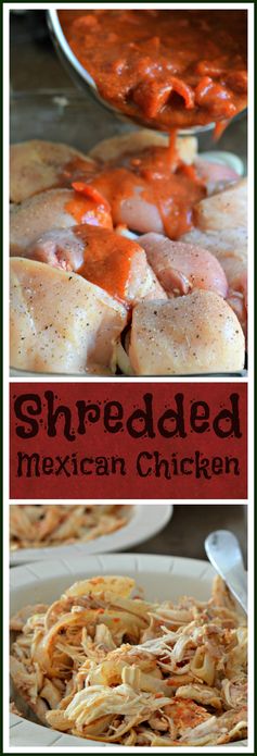 Shredded Mexican Chicken