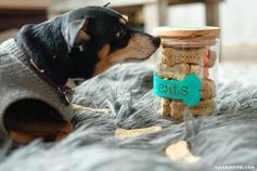 Simple Homemade Dog Treats