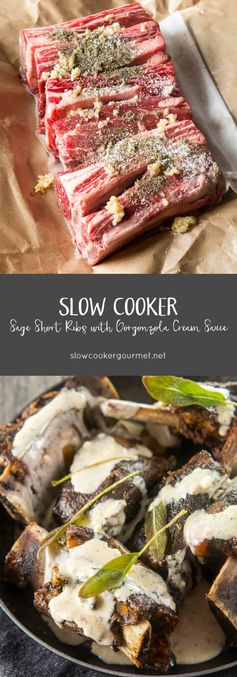 Slow Cooker Sage Short Ribs with Gorgonzola Cream Sauce