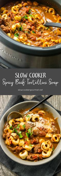 Slow Cooker Spicy Beef Tortellini Soup