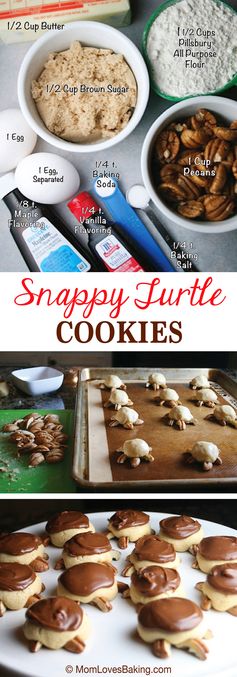 Snappy Turtle Cookies