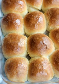 Soft Sour Cream Dinner Rolls & Cinnamon Butter