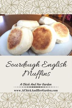 Sourdough English Muffins