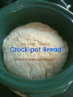 Sourdough Starter