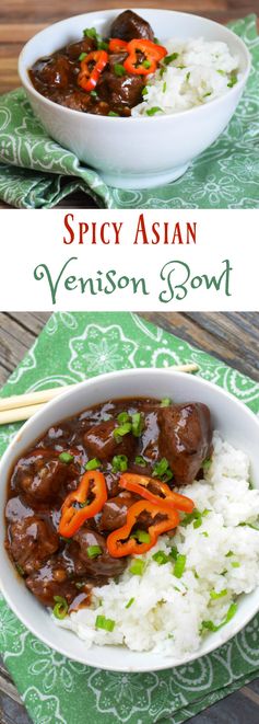 Spicy Asian Venison Bowl