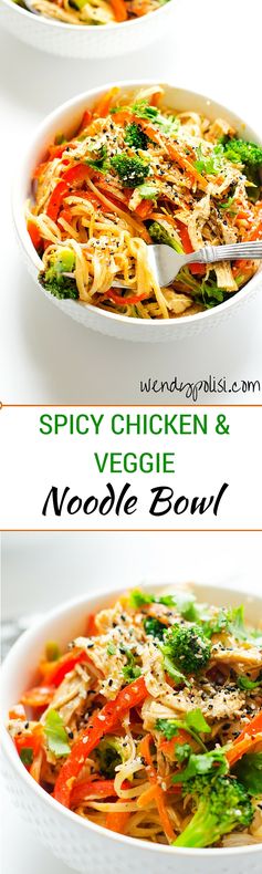 Spicy Chicken & Veggie Noodle Bowl