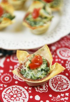 Spinach, Artichoke & Salame Wonton Bites