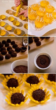 Sunflower Truffles