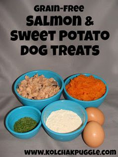 Tasty Tuesday: Sweet Potato & Salmon Bites Dog Treat