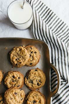 The Best Chocolate Chip Cookie (paleo, vegan