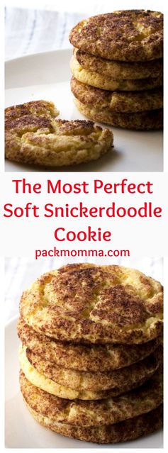 The Most Perfect Soft Snickerdoodle Cookie