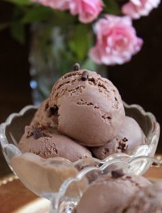 The Smoothest and Best Ever Dark Chocolate Custard Ice Cream