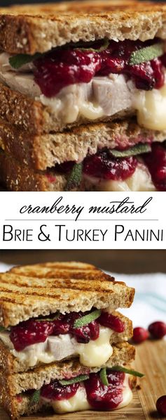 Turkey, Brie and Cranberry Mustard Panini