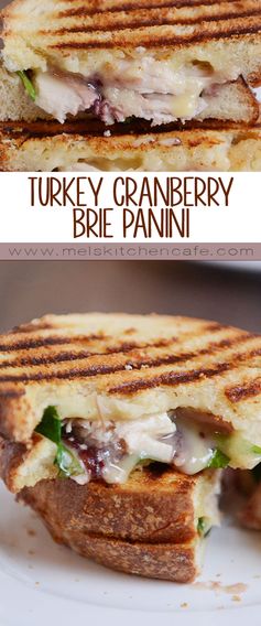 Turkey Brie Cranberry Spinach Panini