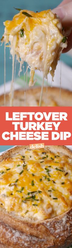 Turkey Cheese Dip