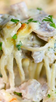 Turkey Tetrazzini