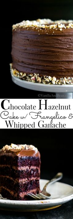 Vegan Chocolate Hazelnut Cake with Whipped Ganache