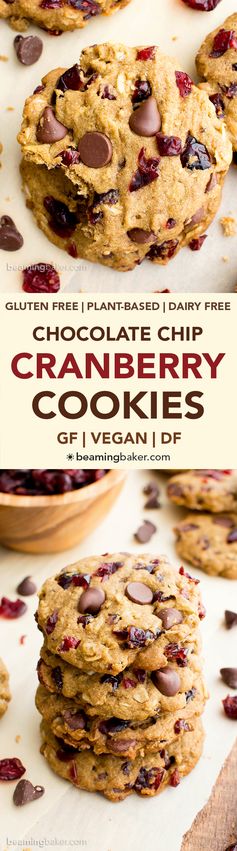 Vegan Cranberry Chocolate Chip Cookies (V, Gluten Free, Oat Flour