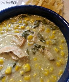 Weight Watchers Green Chili Chicken Enchilada Soup