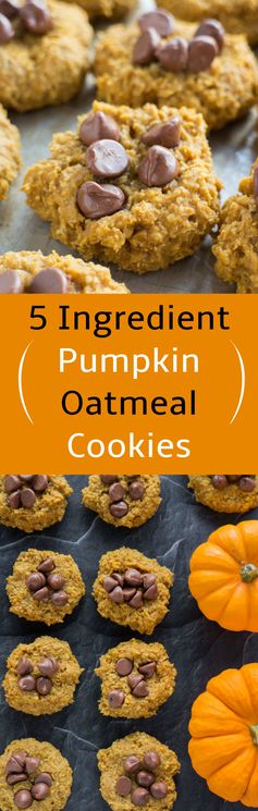 5 Ingredient Pumpkin Oatmeal Cookies (Sugar Free Option!