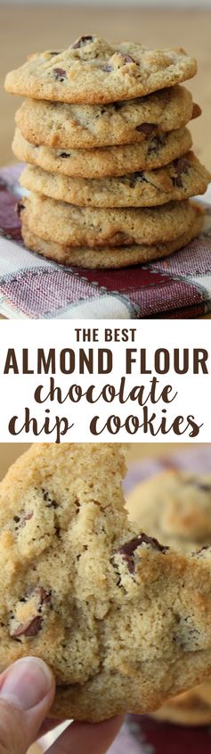 Almond Flour Chocolate Chip Cookies (Grain-Free