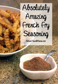 Amazing French Fry Seasoning