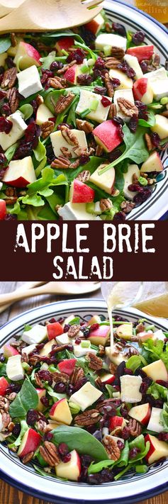 Apple Brie Salad