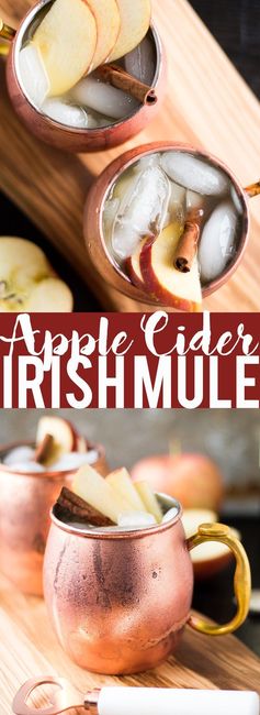 Apple Cider Irish Mule
