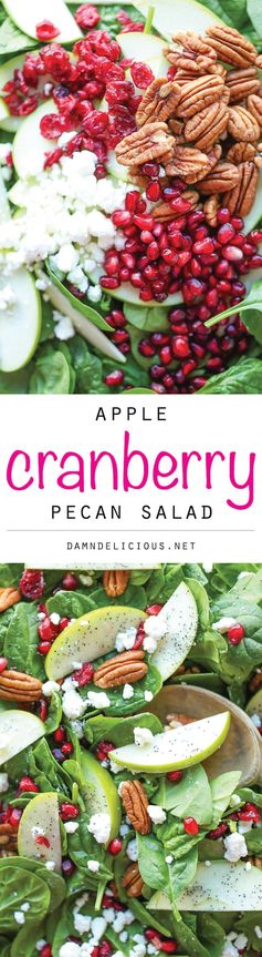 Apple Cranberry Pecan Salad