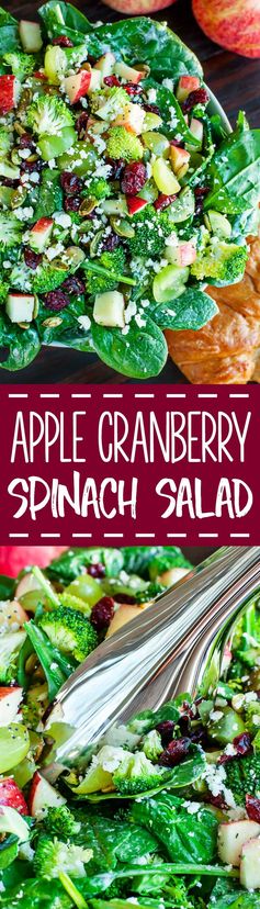 Apple Cranberry Spinach Salad with Broccoli and Feta