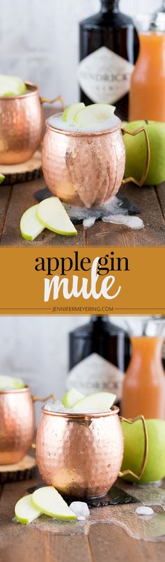 Apple Gin Mule