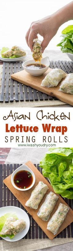 Asian Chicken Lettuce Wrap Spring Rolls