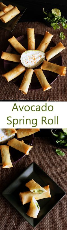 Avocado Spring Roll