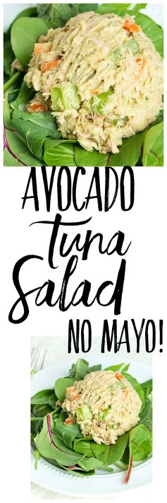 Avocado Tuna Salad (No Mayo