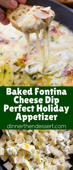 Baked Fontina Cheese Dip