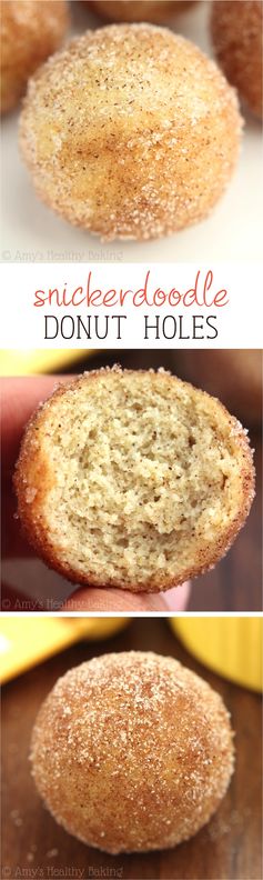 Baked Snickerdoodle Donut Holes