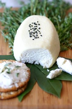 Basic Almond Cheese