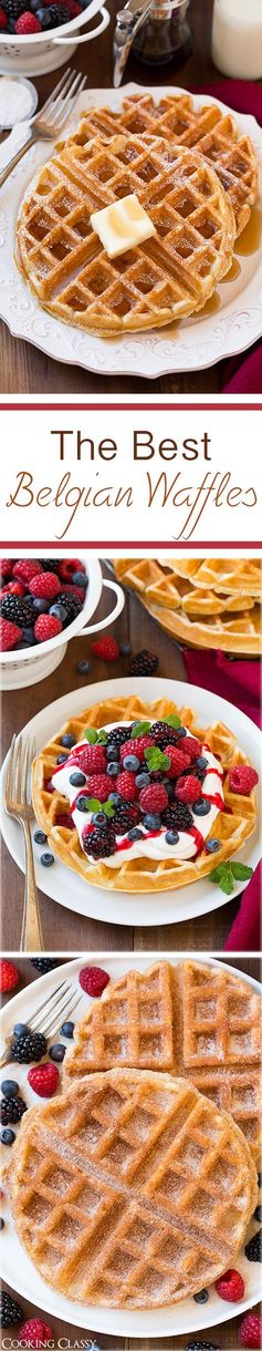 Belgian Waffles