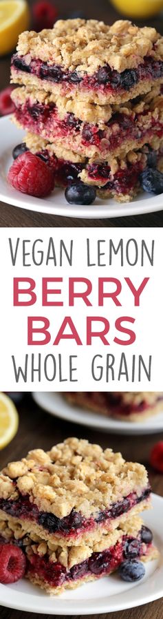 Berry Bars (vegan, whole grain, dairy-free options