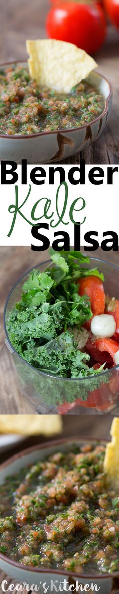 Blender Kale Salsa