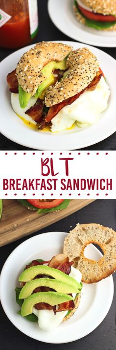 BLT Breakfast Sandwich (BLeaT